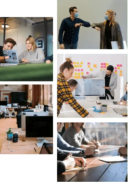 Software Development Company